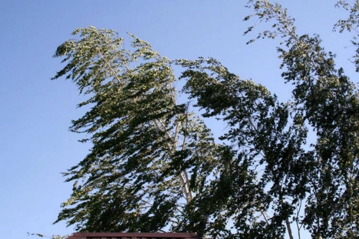 Milli Hidrometeorologiya Xidməti küləkli hava şəraiti ilə bağlı sarı xəbərdarlıq elan edib