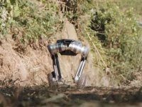 Bu robot insanlarda qorxu yaradır: Tezliklə bizi ovlayacaq