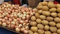 Azərbaycanda kartofla soğan buna görə bahalaşır: Səbəblər bəlli oldu