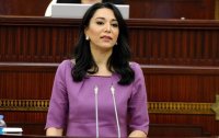 Ombudsman: 392 nəfər Ermənistanın mina terrorunun qurbanı olub